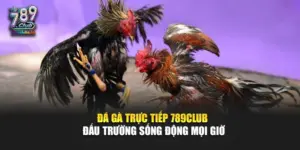 Đá Gà Trực Tiếp 789Club – Đấu Trường Sống Động Mọi Giờ